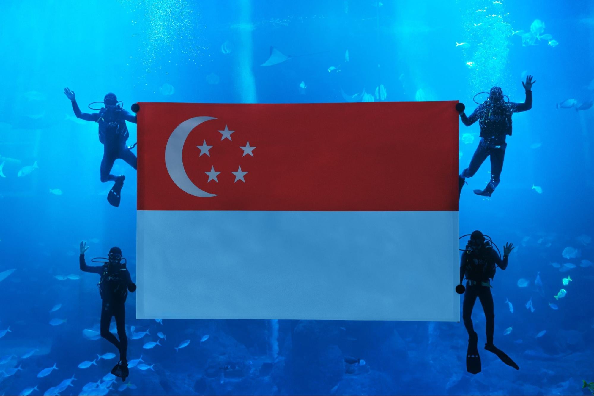 Singapore flag presentation
