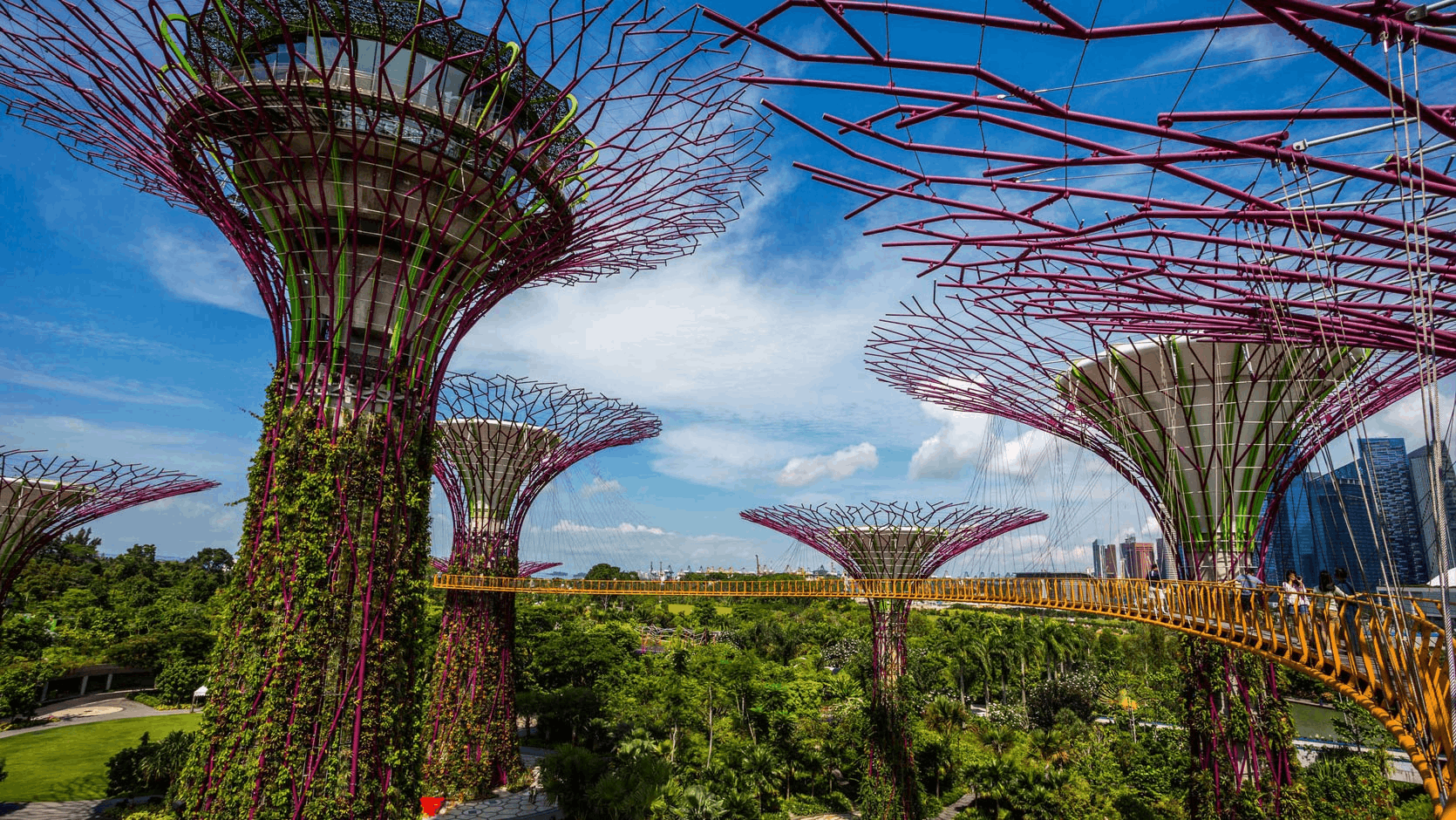 SuperTree Grove