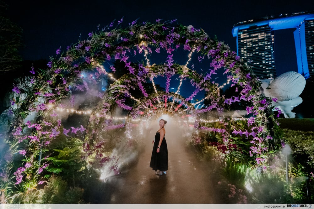 singapore garden festival 2026 - floral vortex night