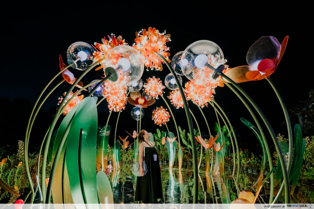 singapore garden festival 2026 - known by flowers