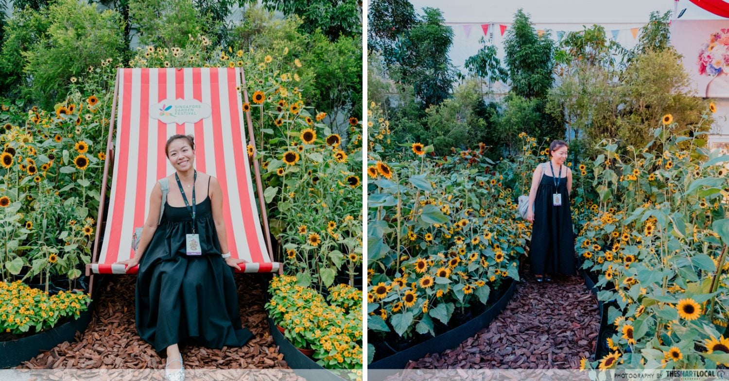 singapore garden festival 2026 - sunflowers