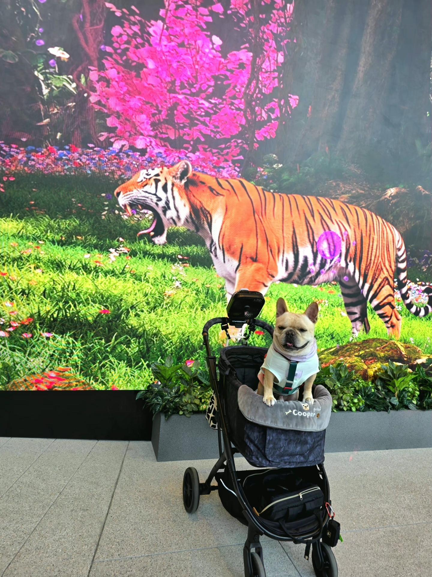 Happitat Thailand - animal forest trail