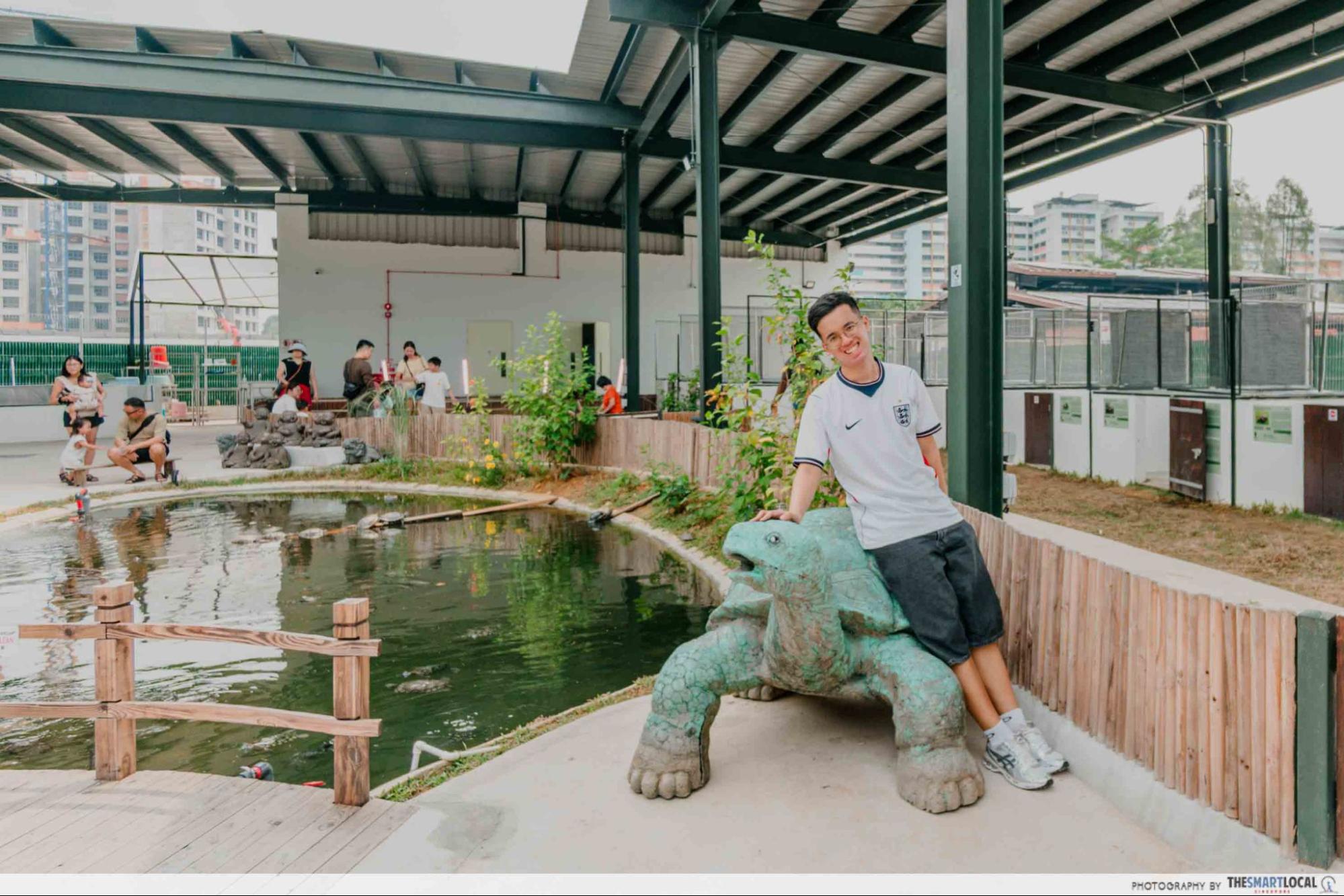 live turtle and tortoise museum tortoise sculpture