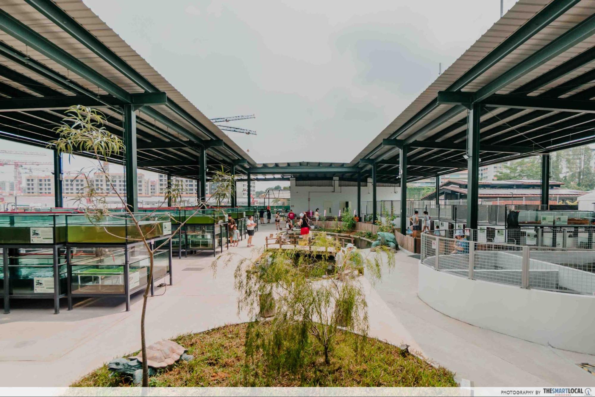 live turtle and tortoise museum interior