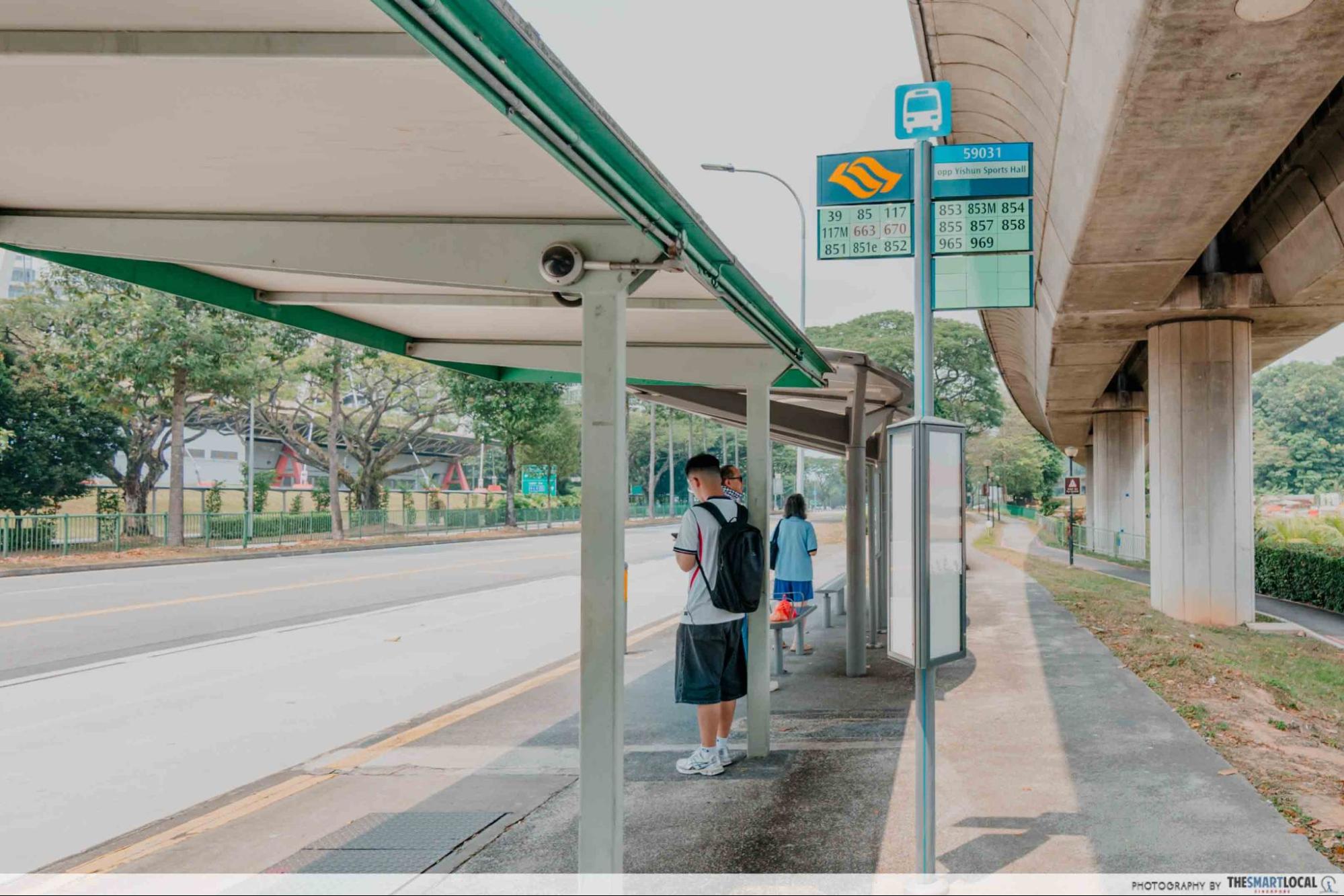 live turtle and tortoise museum bus stop