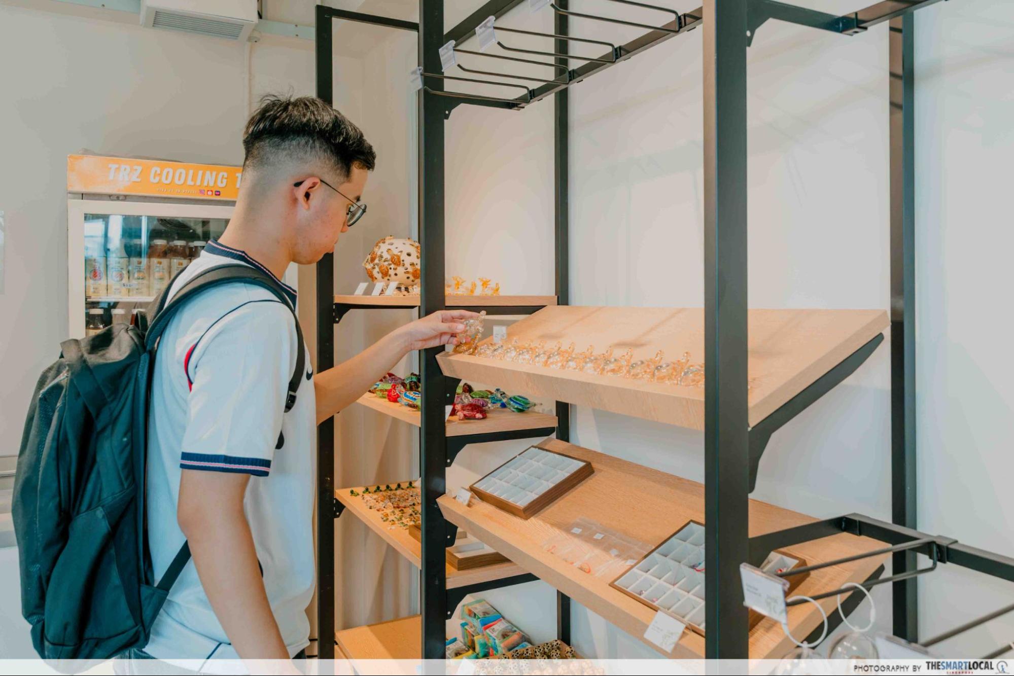 live turtle and tortoise museum souvenir shop