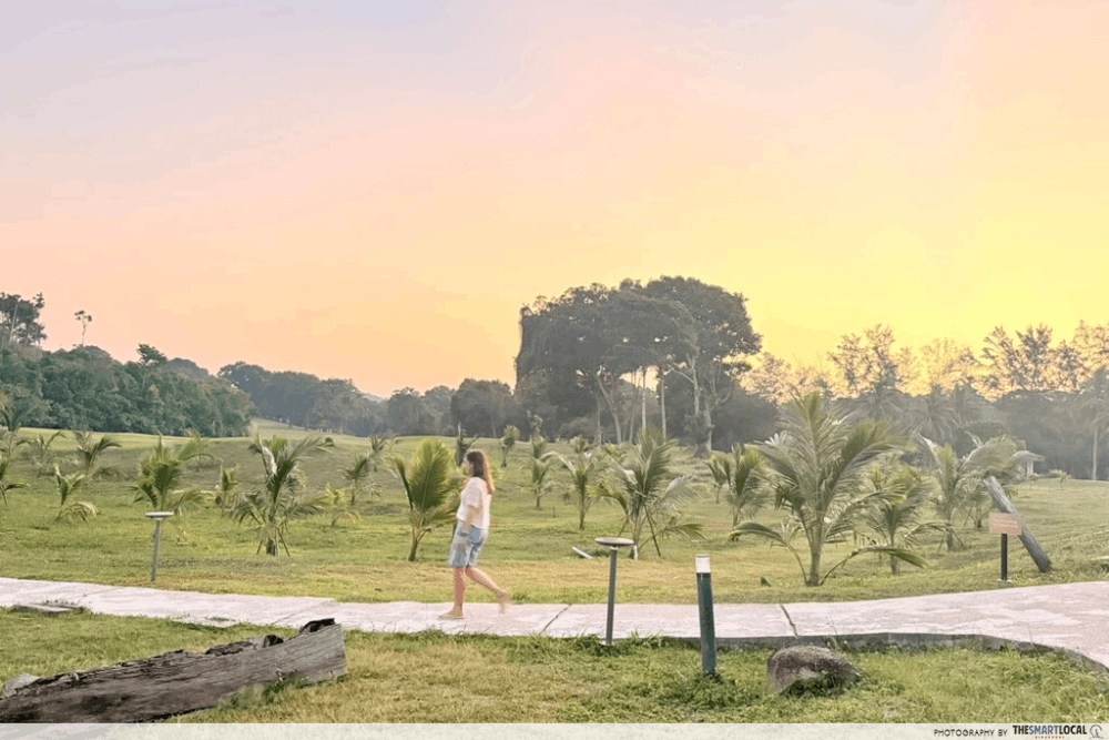Mövenpick Resort & Spa Bintan Lagoon - sunset walk