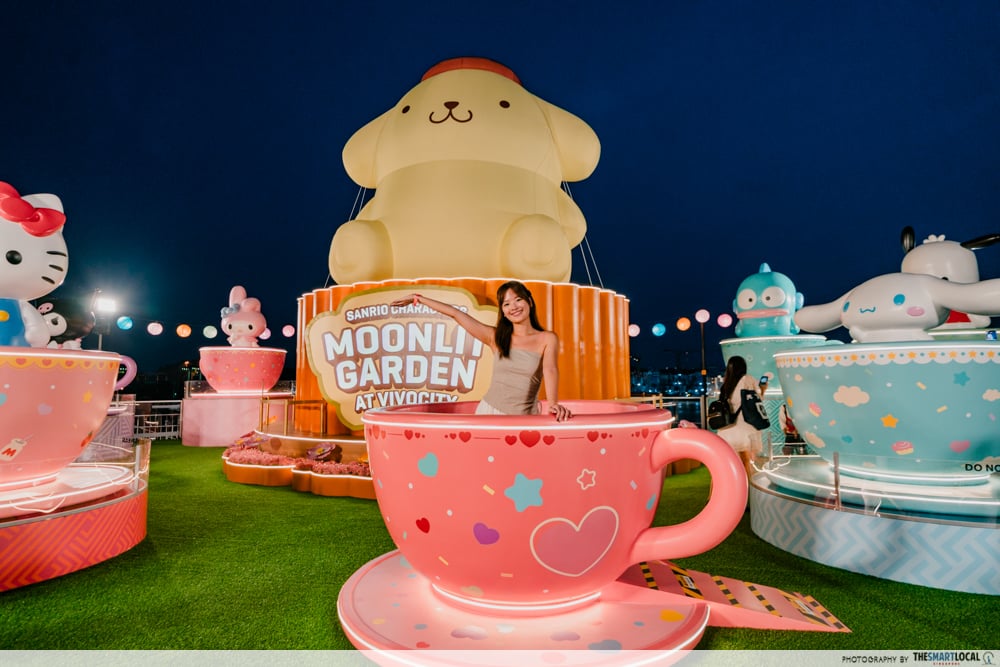 Teacup photo spot