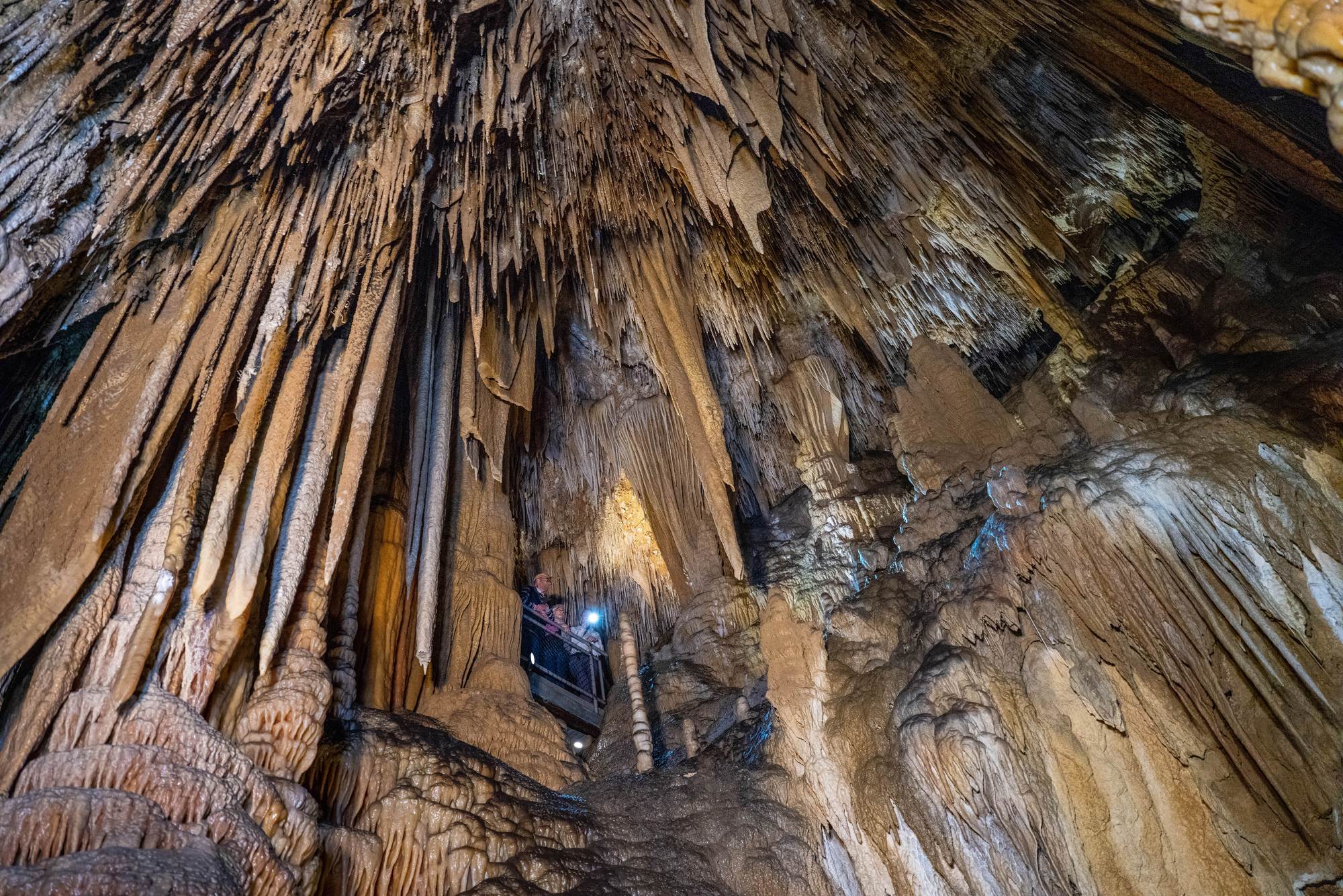 Newdegate Cave, Hastings Caves
