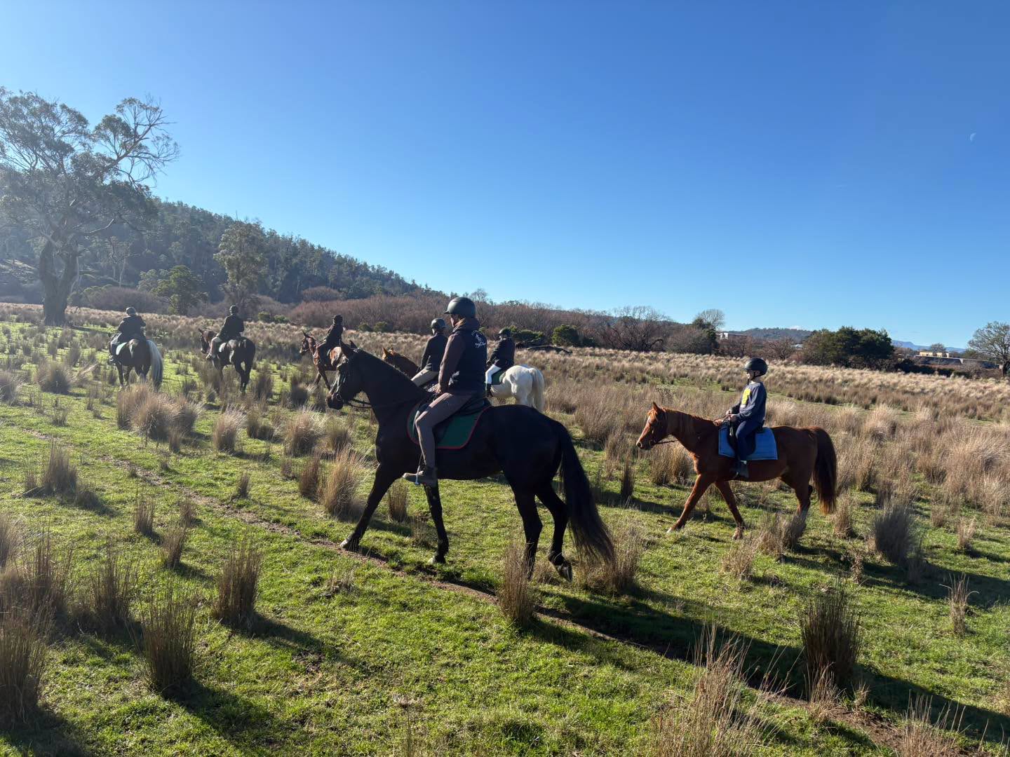 Soft adventure outdoor travel ideas in Tasmania - horseriding