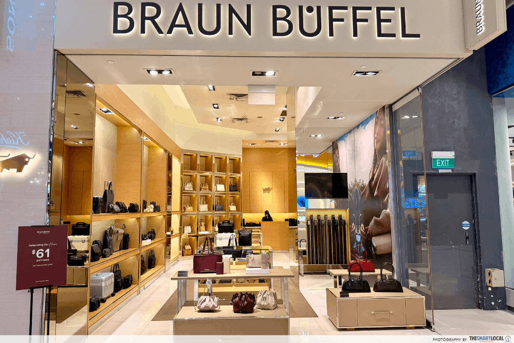 Braun Buffel at IMM
