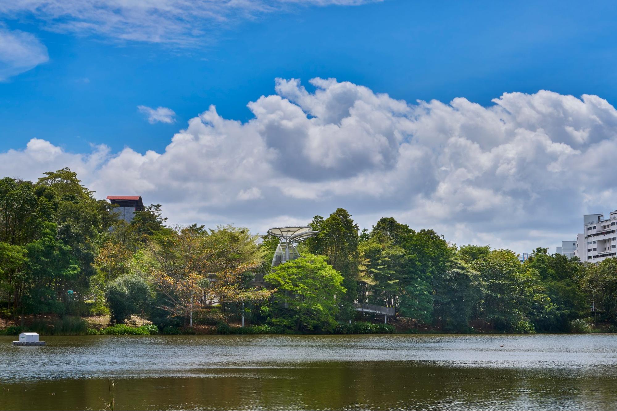 Yishun Park