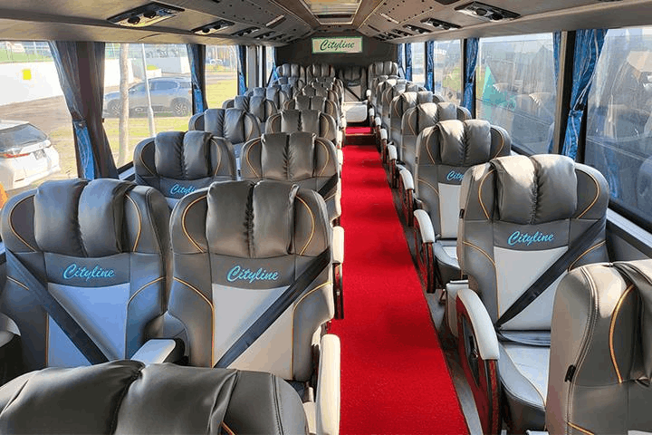 bus to mersing - cityline