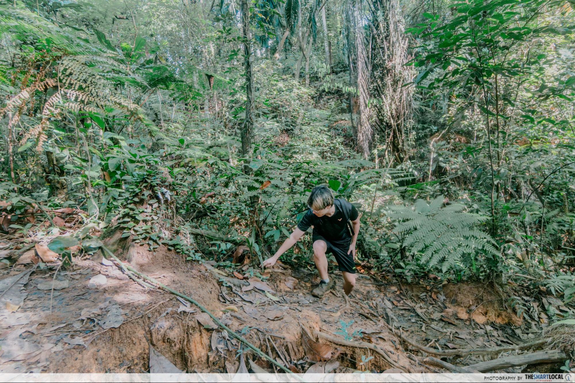 Climbing