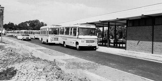 City Shuttle Buses