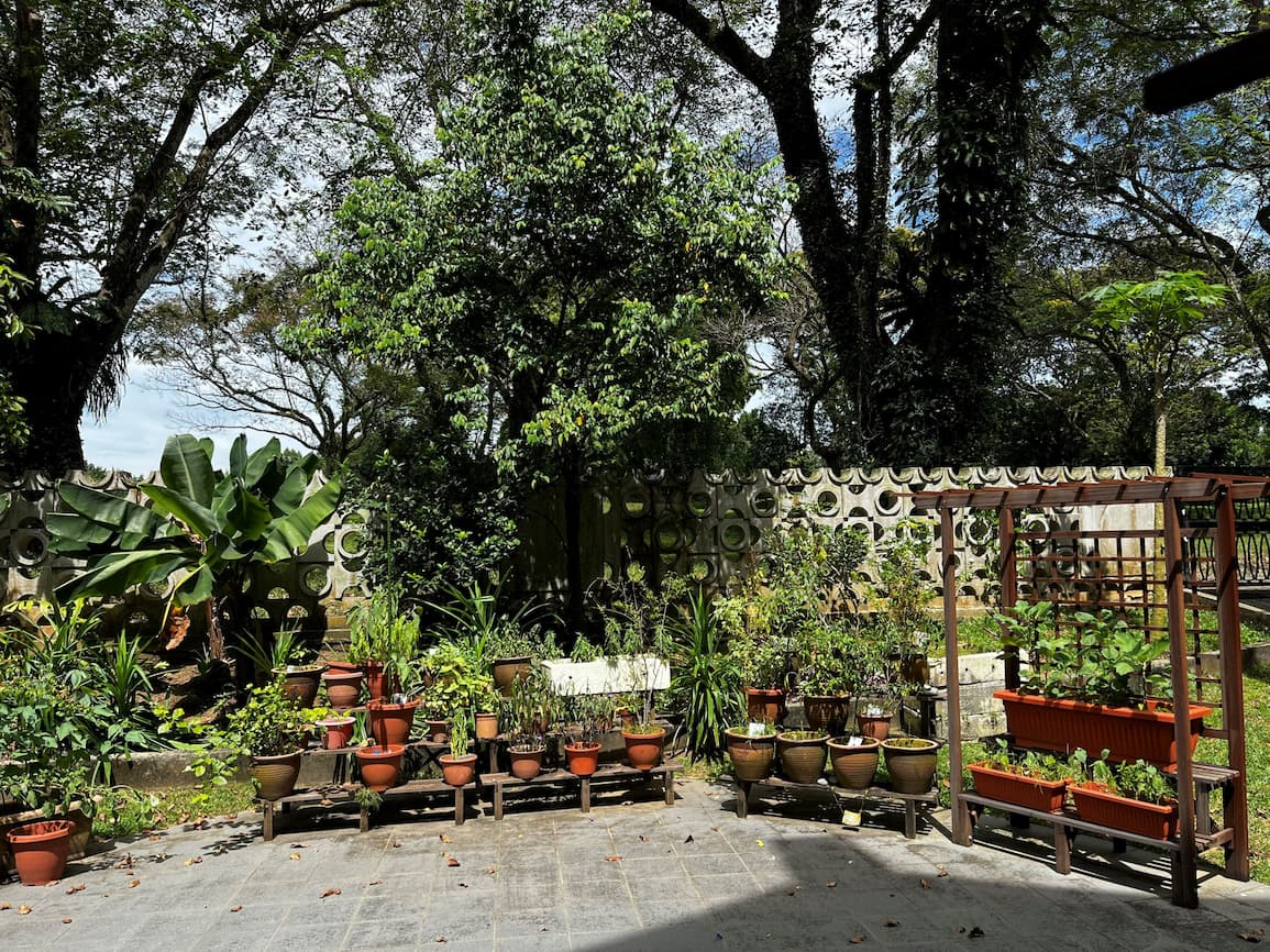 queenstown library - community garden