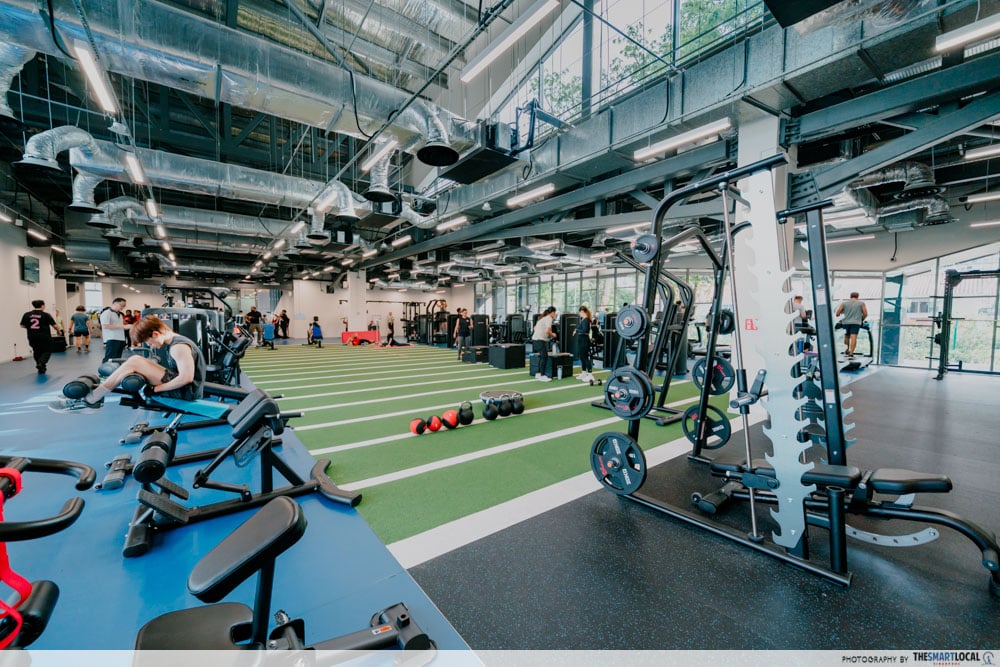 Gym