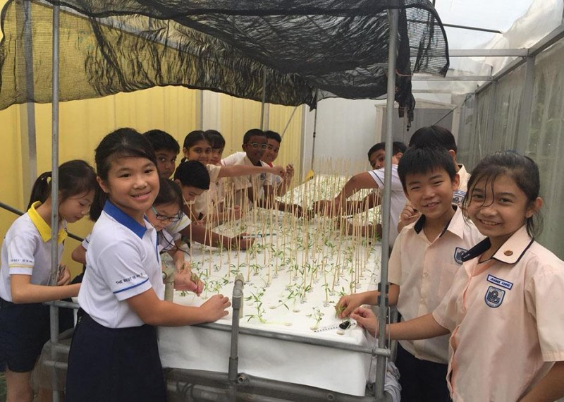 Eco garden