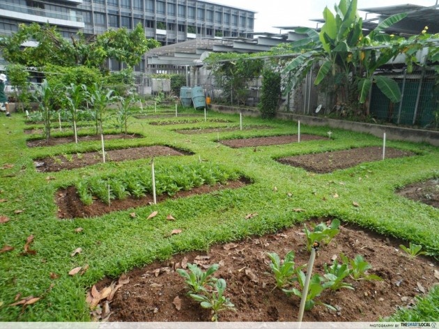 Khoo Teck Puat Hospital garden
