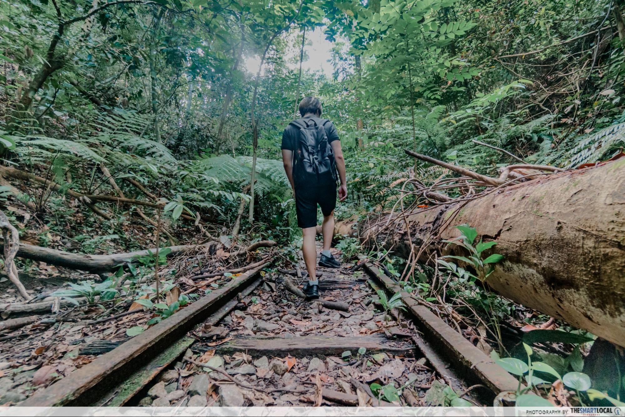 OId train tracks