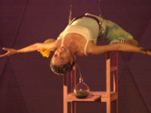 Zoe Tay flower stunt