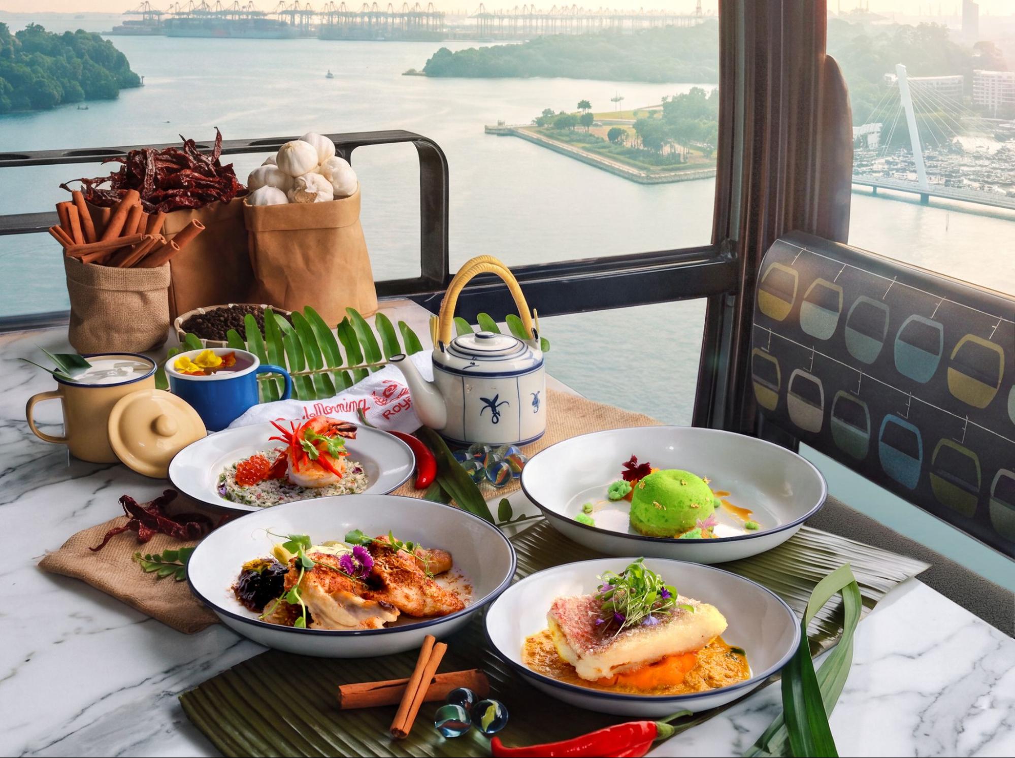 Singapore Cable Car: The Singapore Chronicles