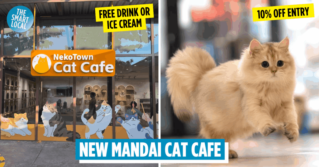 nekotown mandai
