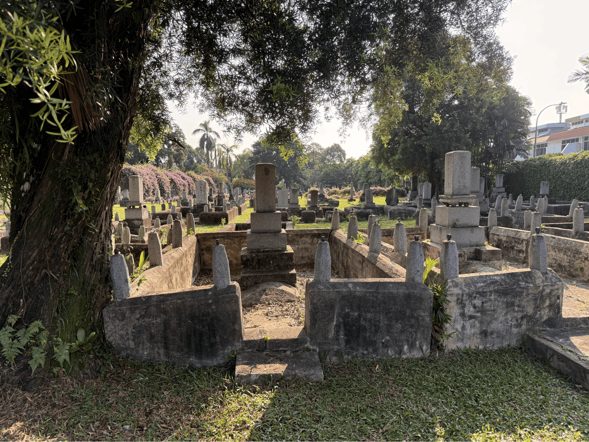 singapore cemeteries - japanese cemetery park