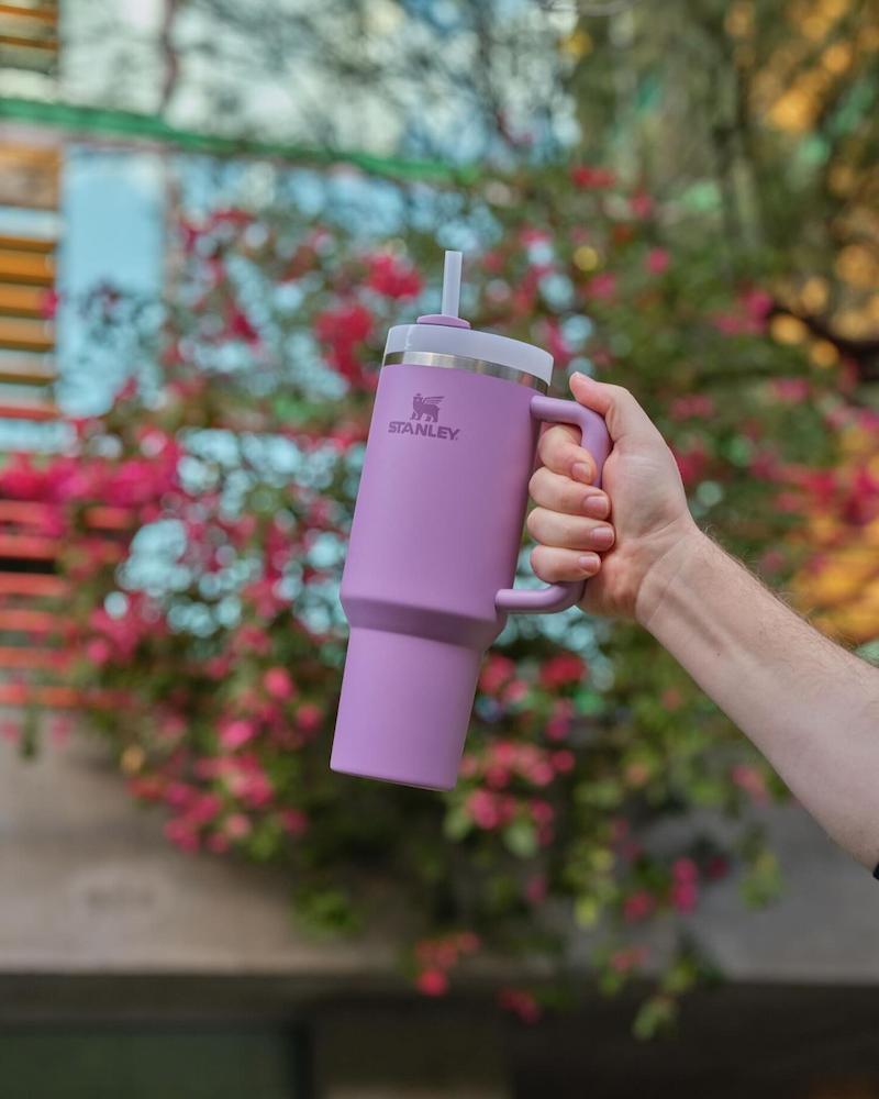 water bottle - stanley quencher