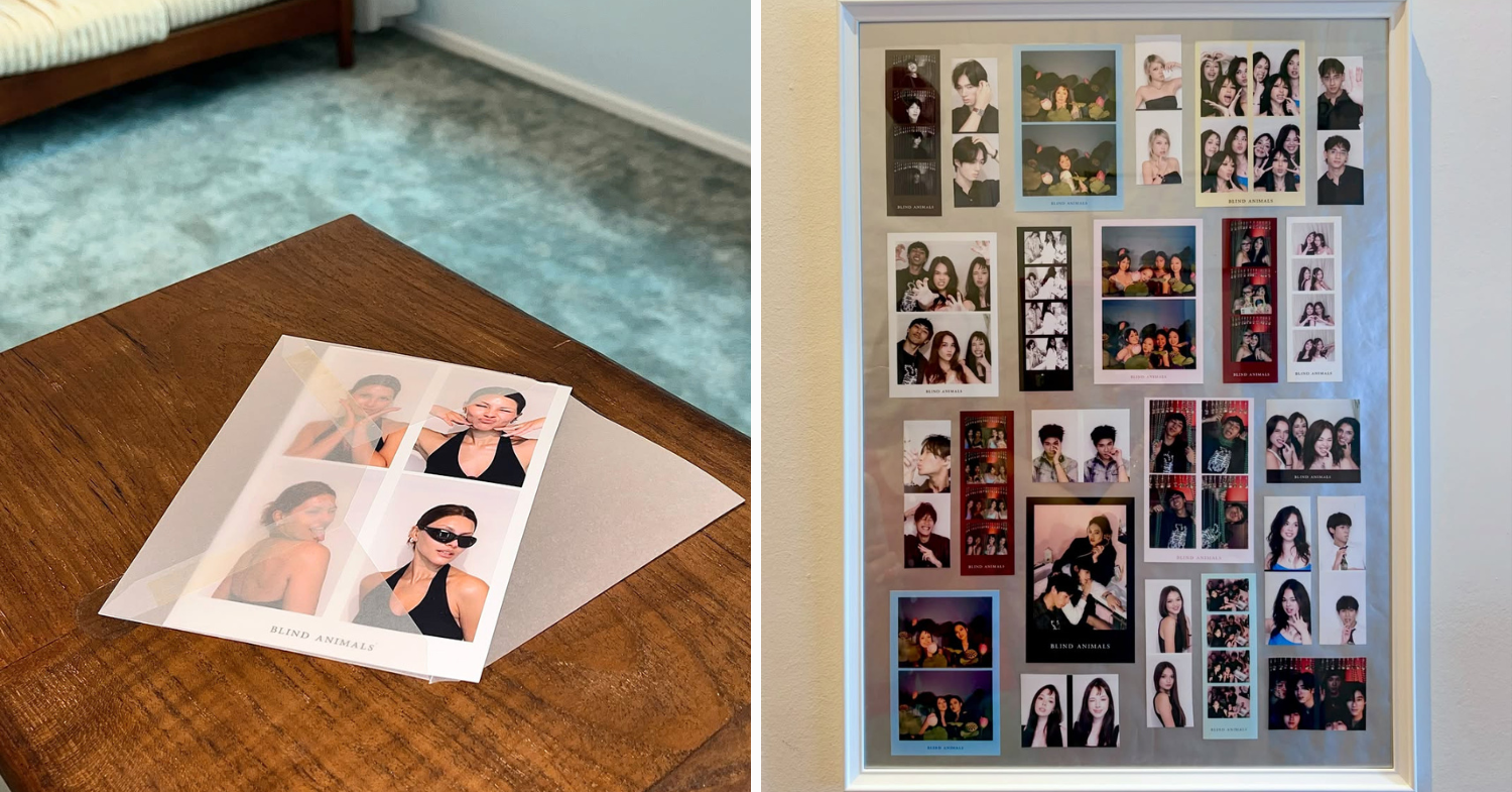 blind animal photo studio frames