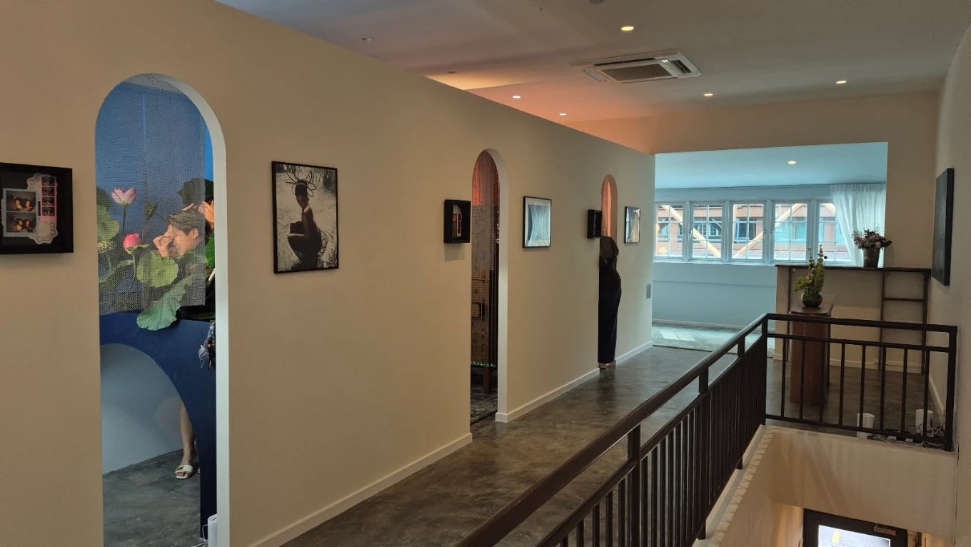 blind animal photo studio interior 