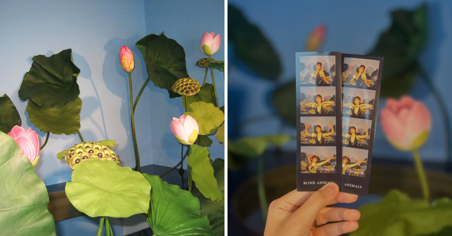 blind animal photo studio lotus pond booth 