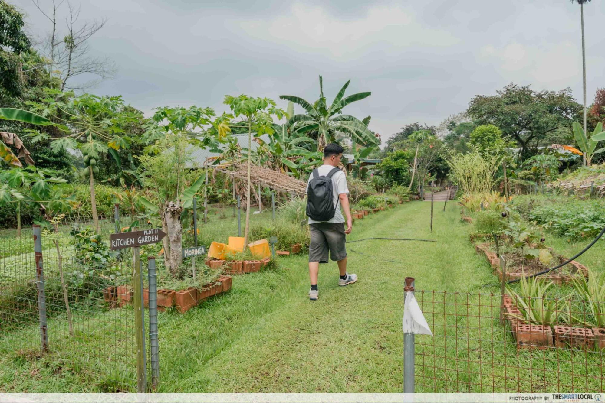 bollywood farms gardens