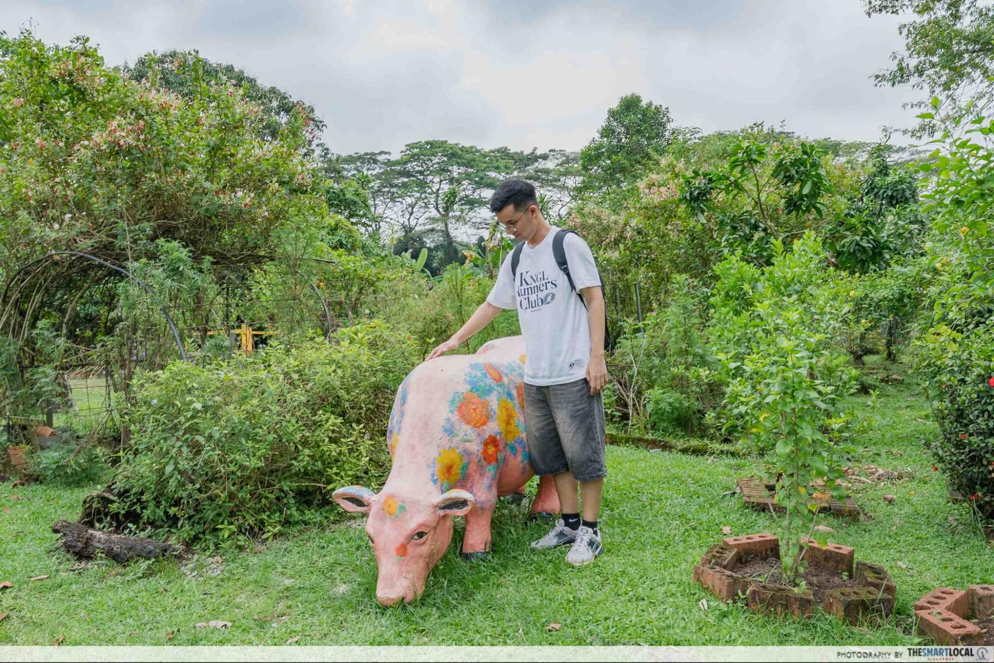 bollywood farms pig statue 