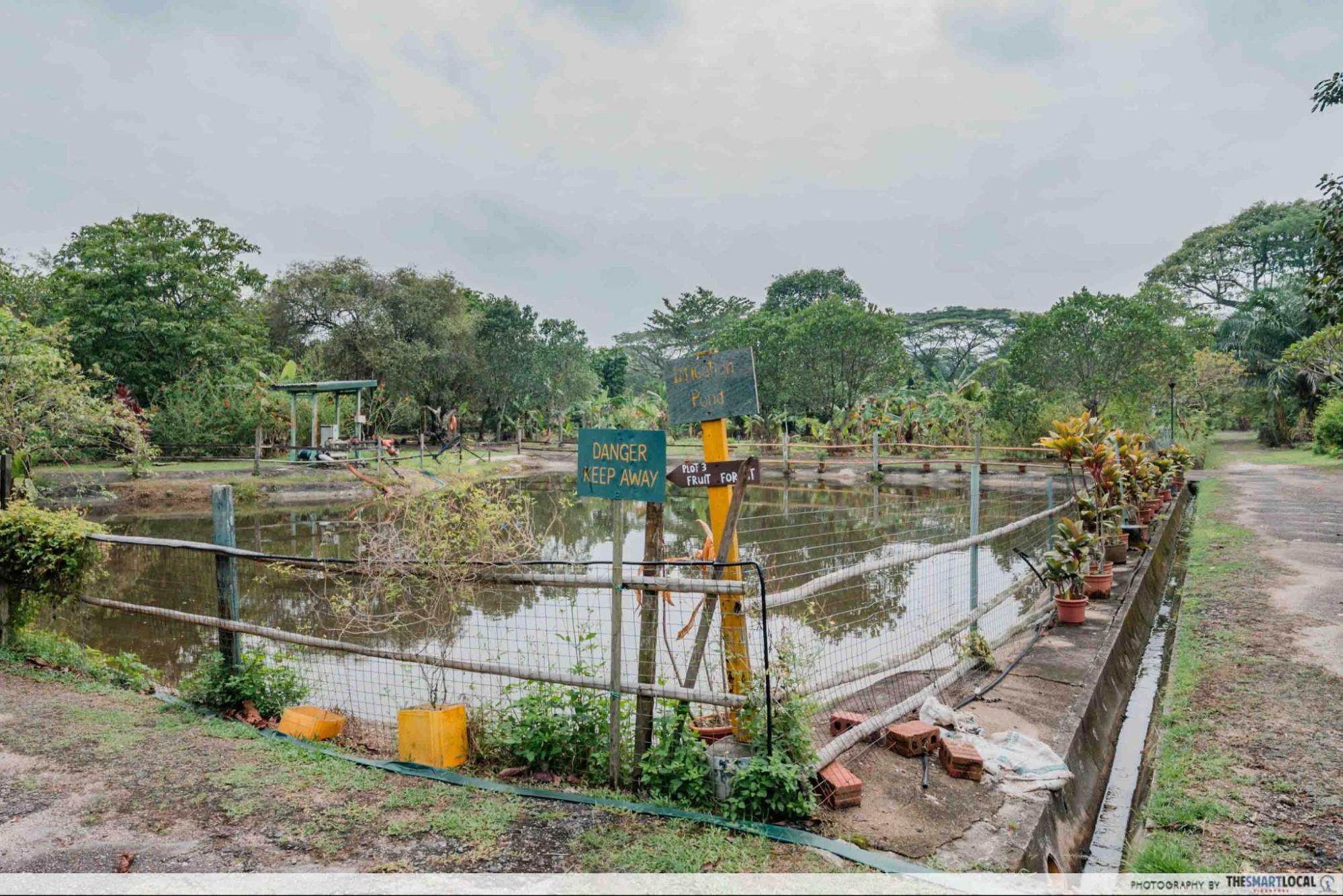 bollywood farms irrigation pond