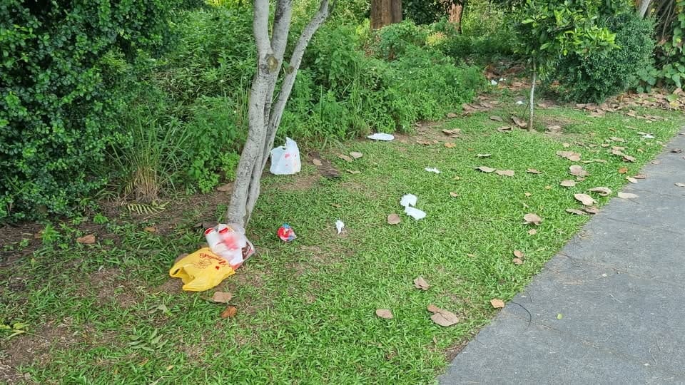 Litter on the ground