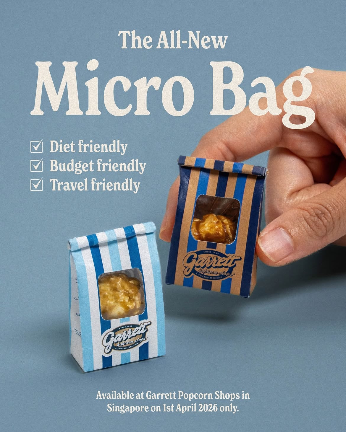 Micro Bag poster