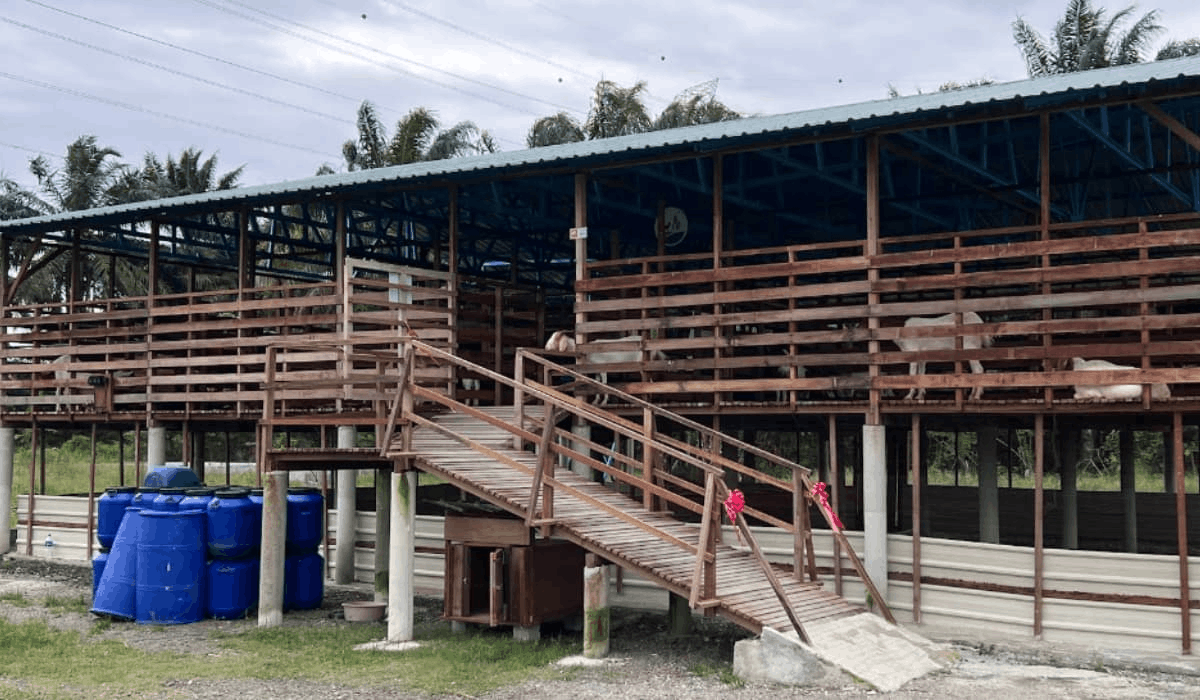 Gentle Farms - Barn