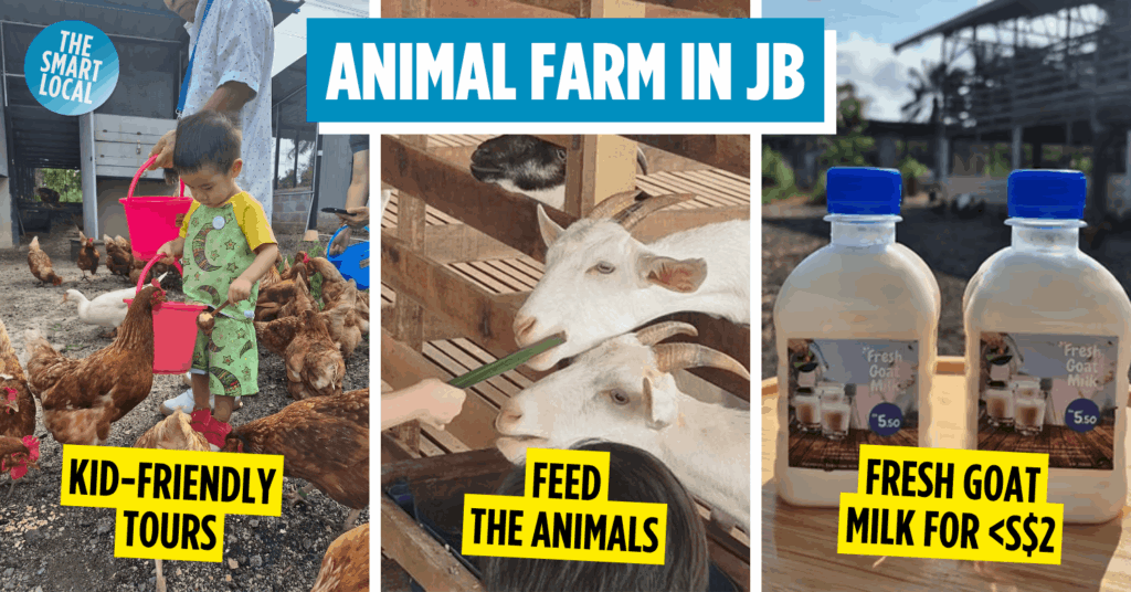 This Singapore-Owned Farm In JB Has Goat Feeding & Farm Tours from $3/Pax Gentle Farms - Cover