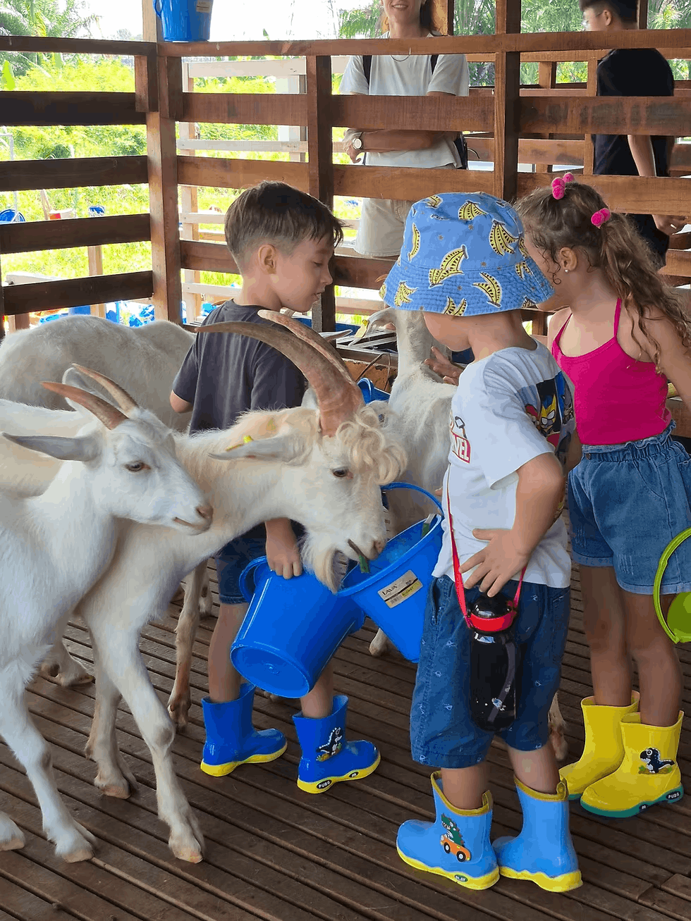 Gentle Farms - Goat Feeding (1)