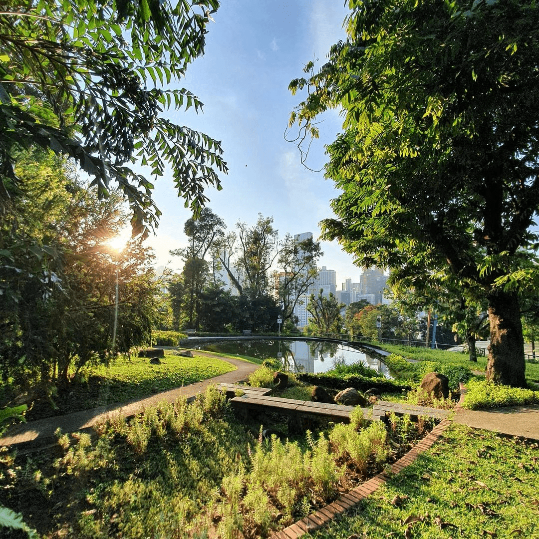 Pearl's Hill City Park 2
