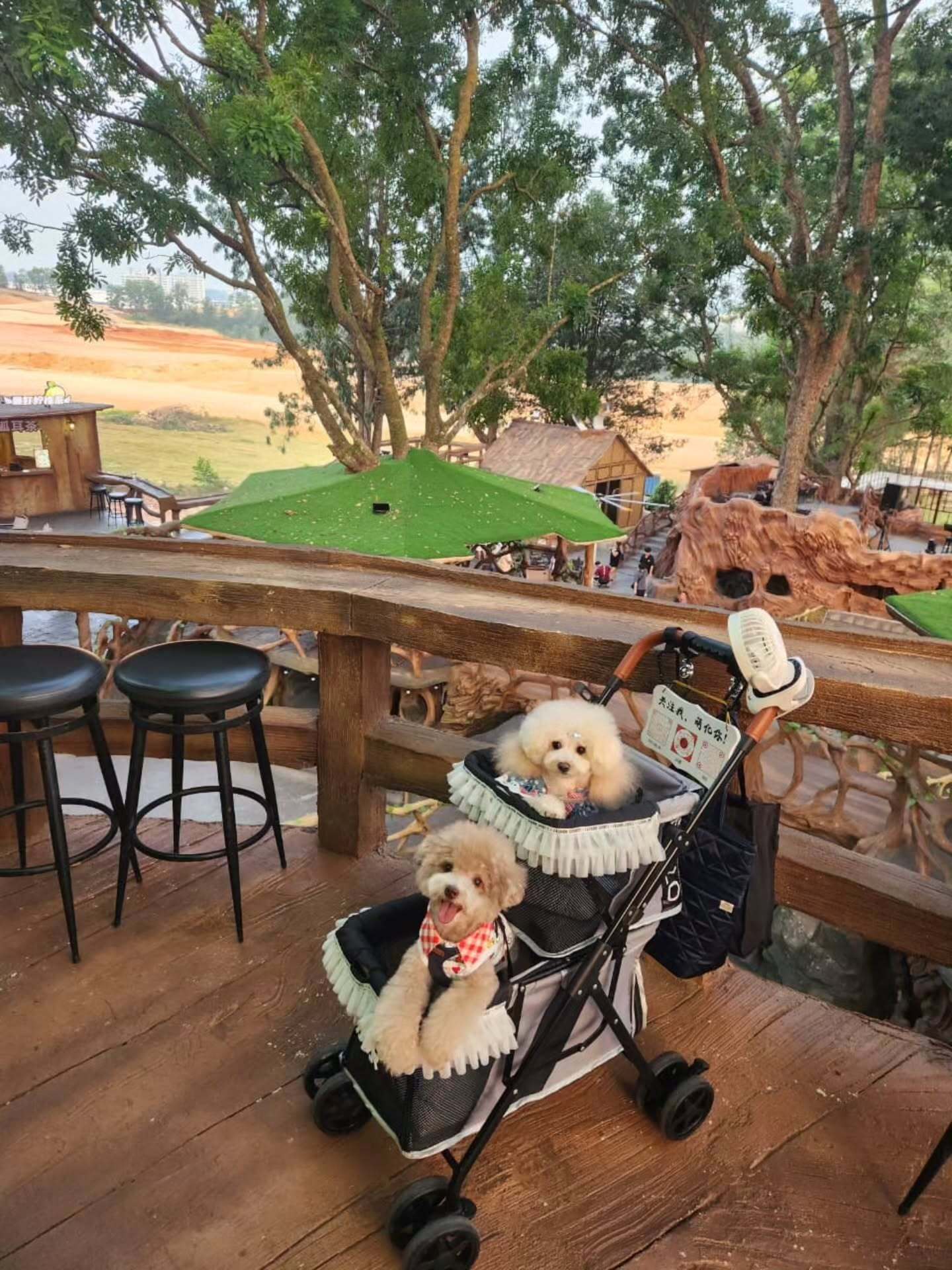 hobbit austin pets