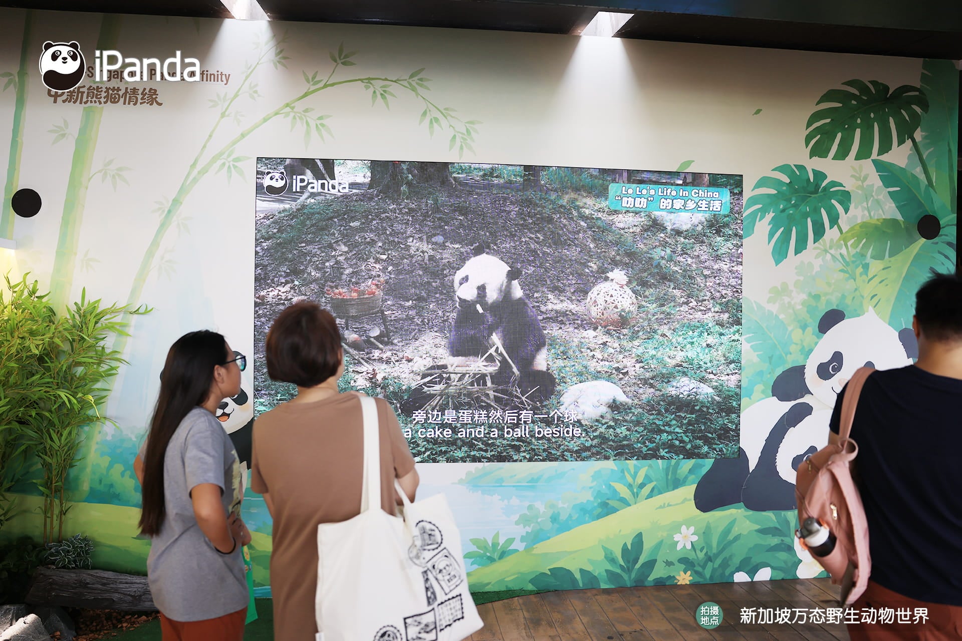 Kai Kai & Jia Jia birthday activities at River Wonders - immersive experience