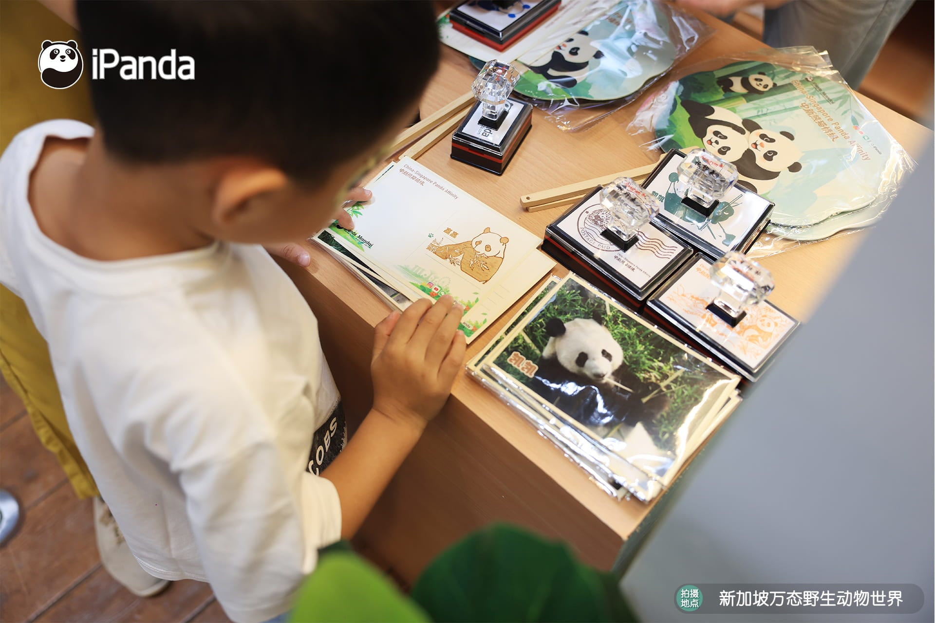 Kai Kai & Jia Jia birthday activities at River Wonders - kid activities