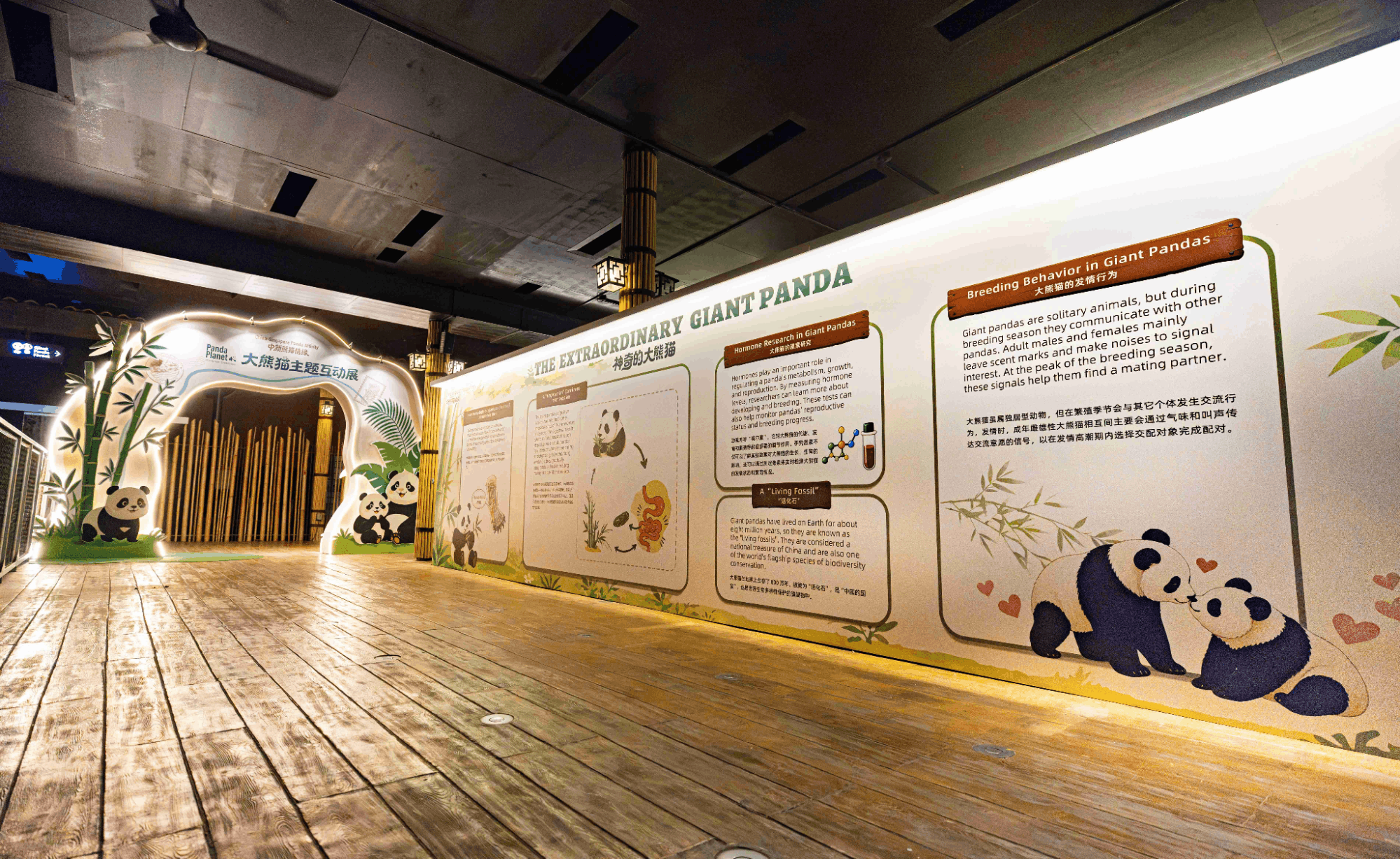 Kai Kai & Jia Jia birthday activities at River Wonders - panda planet science zone
