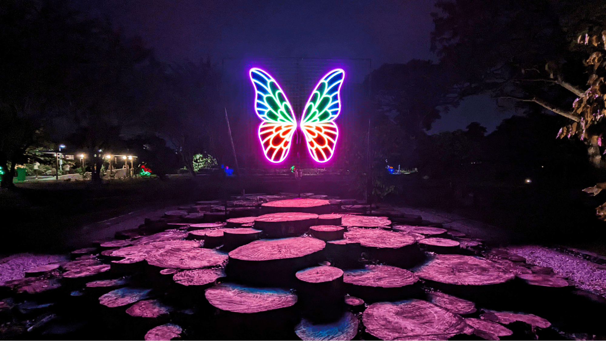 Lights by The Lake - Lantern Display 