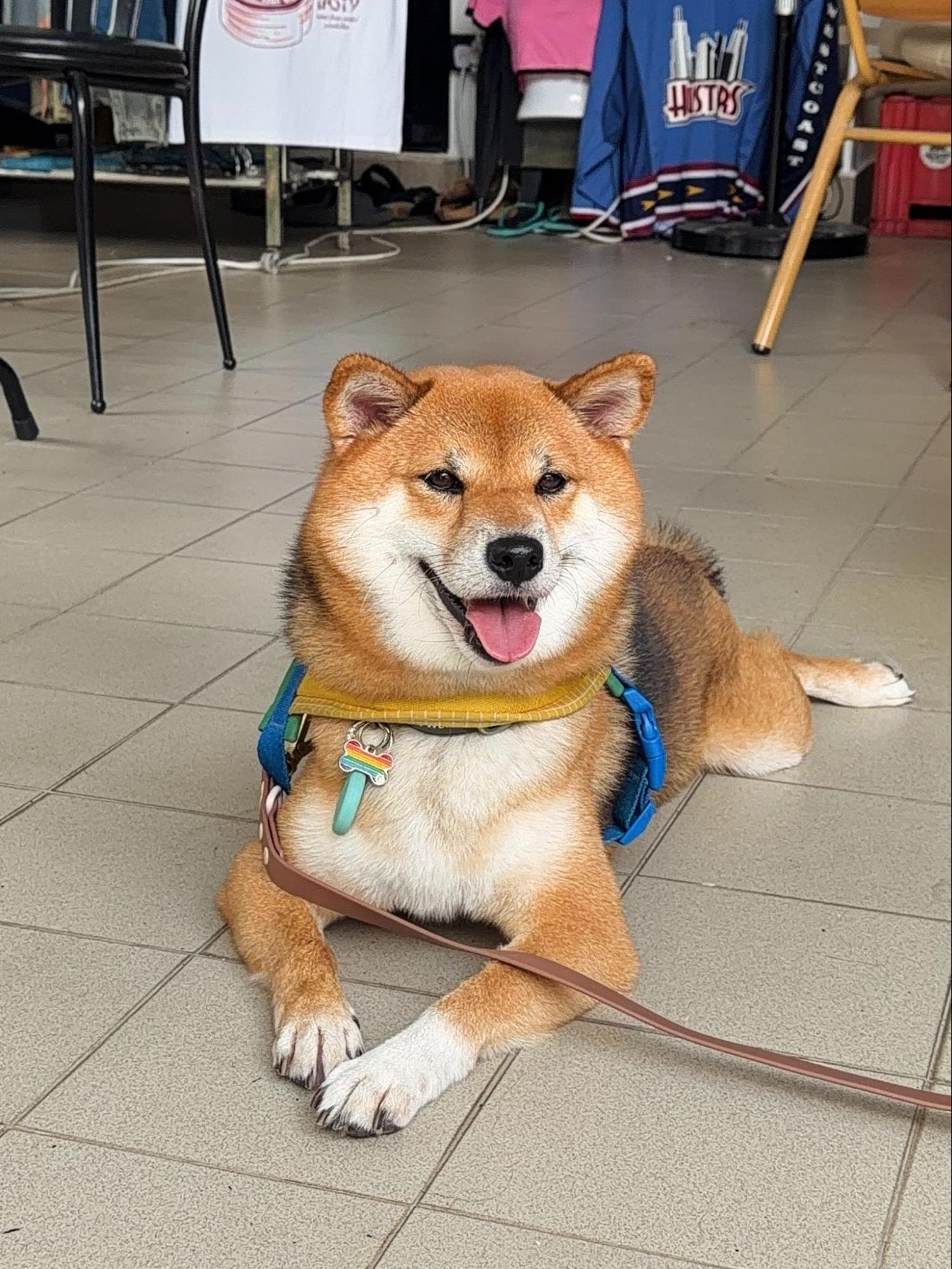 Pet Friendly