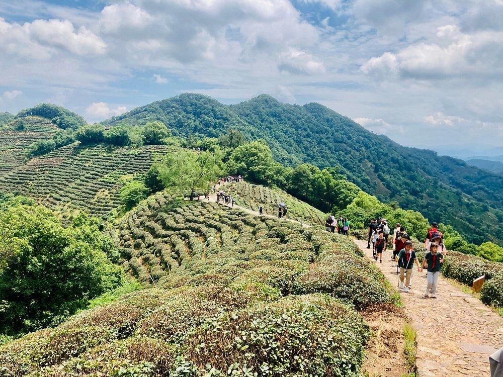 best places to visit in china - longjing village
