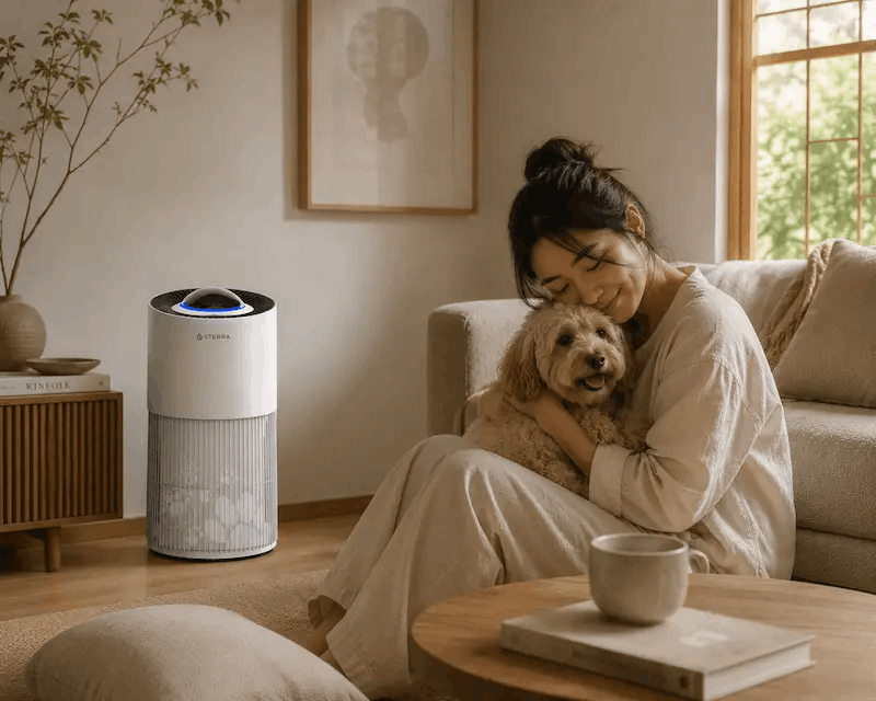 haze singapore - air purifier