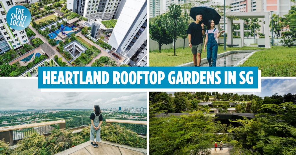 HDB rooftops cover image